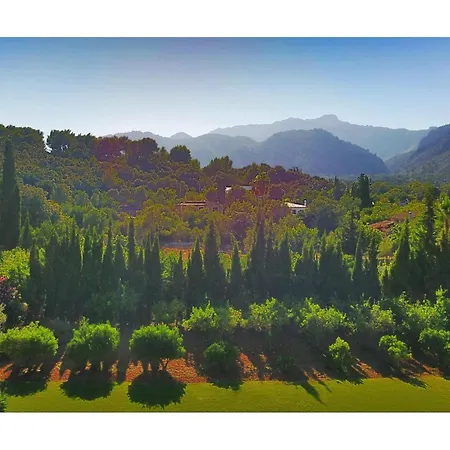 Majorcan Mountain View For 8 Feriehus *